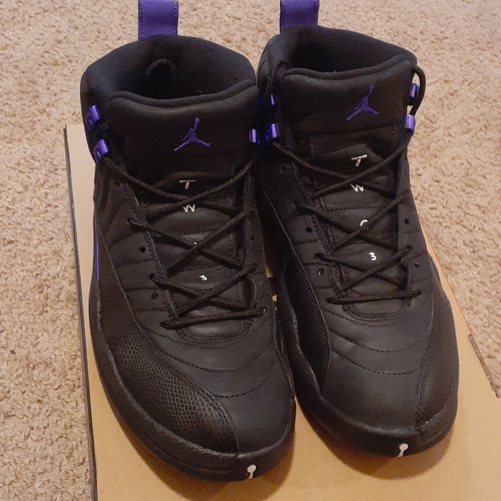 Jordan 12 Retro Dark Concord